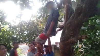 Photo of Depresi, Pria Muda Asal Desa Bentek Gantung Diri di Pohon Mangga
