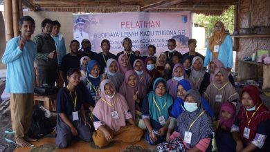 Photo of Pemberdayaan Perempuan Desa Sukadana Buka Pelatihan Budidaya Lebah Madu Trigona