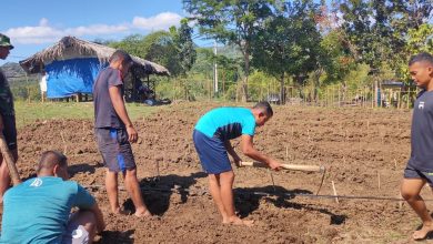 Photo of Kipur III Budidayakan Buah Semangka Dengan Masyarakat Dafala