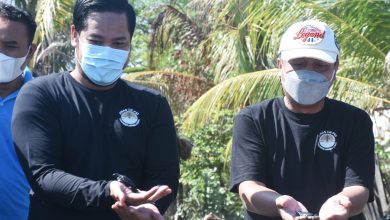 Photo of Peringati Hari Lingkungan Hidup Sedunia, Wakil Bupati Lombok Utara Lepas Tukik