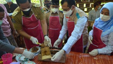Photo of Wakil Bupati Lombok Utara Danny Karter Febrianto Ridawan, ST., MEng., Panen Raya Lebah Madu Trigona di Desa Sigar Penjalin