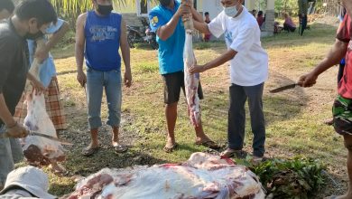 Photo of Hari Raya Idul Adha dan Pemotongan Empat Ekor Sapi Hewan Qurban di Desa Sukadana