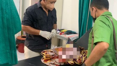 Photo of Seorang Pencari Rumput di Lombok Utara Temukan Mayat Bayi Dalam Kantong Plastik