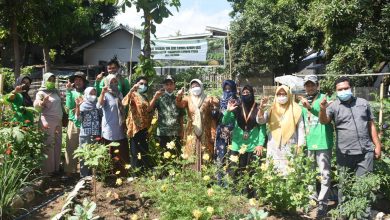 Photo of Desa Sukadana Dapat Juara Satu Lomba Kebun Gizi Tingkat Kecamatan di Lombok Utara