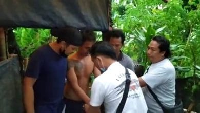Photo of Pelaku Curas Di Desa Rempek Darusalam Di Tangkap Tim Puma Polres Lombok Utara