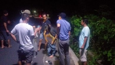 Photo of Kurir Sabu Ditangkap Sat-Resnarkoba Polres Lombok Utara di Gondang