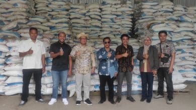 Photo of Dinas Pertanian Lombok Utara Stok Pupuk Bersubsidi Aman, Minta Petani Tak Panik