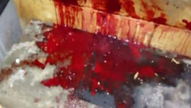 Photo of Diduga Cemburu WNA Lakukan Penganiayaan Dan Pengerusakan Di Gili Meno