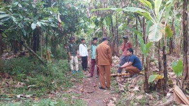 Photo of Pembangunan Jalan Usaha Tani Memudahkan Akses Pertanian di Desa Pansor