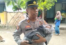 Photo of Polisi Buru Pelaku: Bayi Perempuan Ditemukan Terbungkus Plastik di Teras Rumah Warga Kayangan