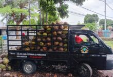 Photo of BUMDes Amanah Pemenang Timur Fokus Dengan Ketapang Jual Beli Hasil Bumi