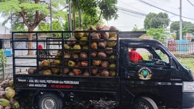 Photo of BUMDes Amanah Pemenang Timur Fokus Dengan Ketapang Jual Beli Hasil Bumi