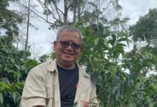 Photo of Penipuan Berkedok Staf Dinas Pertanian Lombok Utara Beredar Lewat WhatsApp