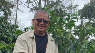 Photo of Penipuan Berkedok Staf Dinas Pertanian Lombok Utara Beredar Lewat WhatsApp