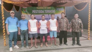 Photo of Pelatihan Pestisida Terbatas ALISHTER Tingkatkan Kompetensi Petani Lombok Utara Dalam Pertanian Aman dan Berkelanjutan